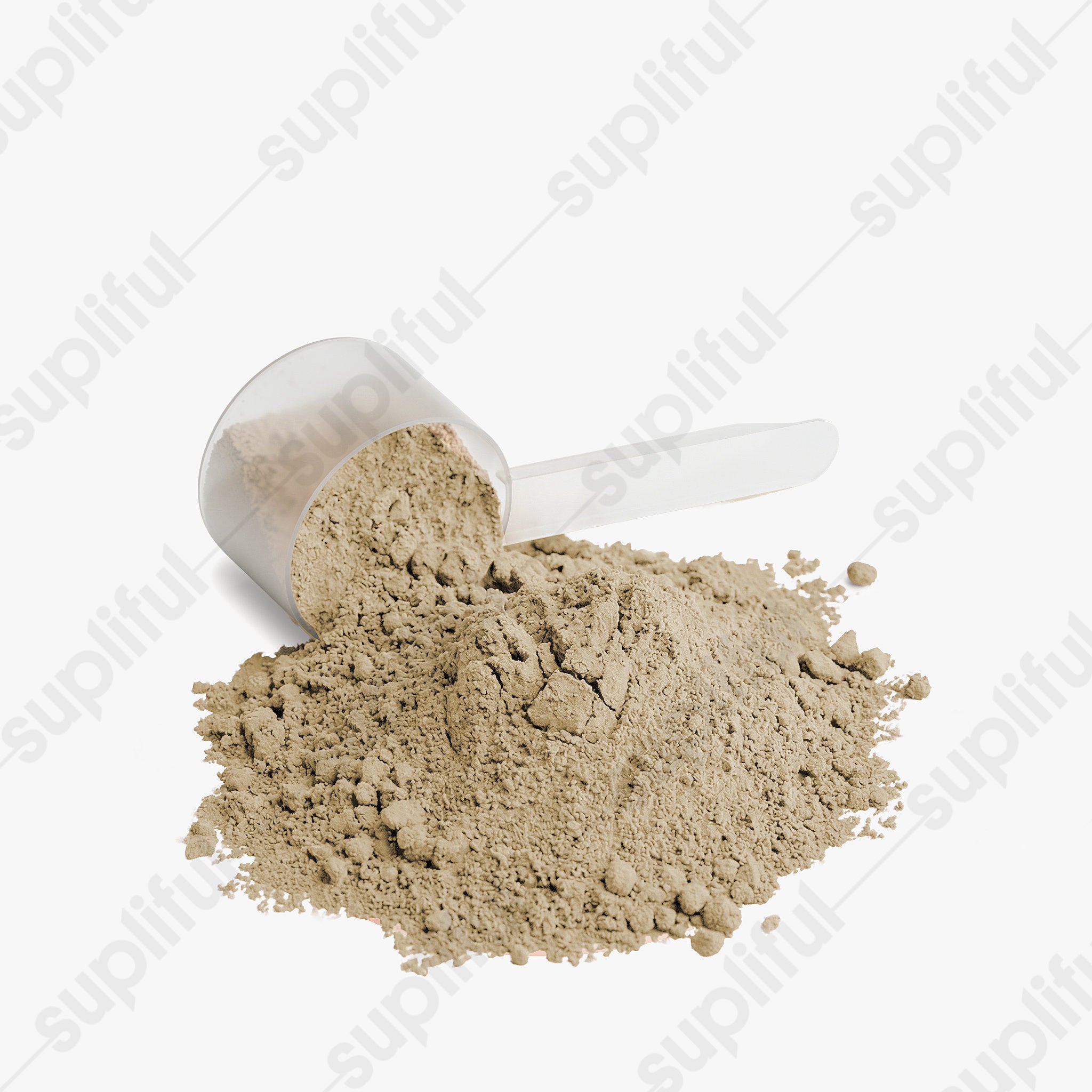 Plant Protein (Vanilla)